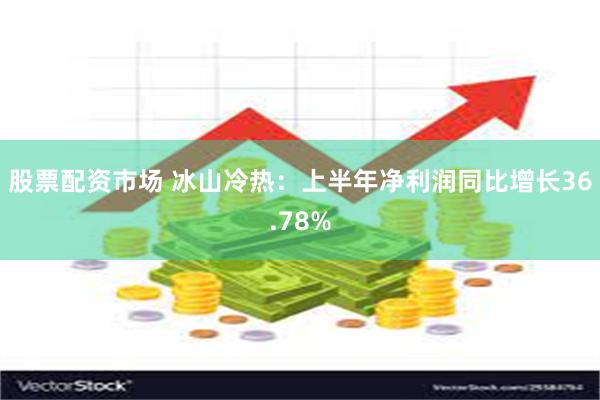 股票配资市场 冰山冷热：上半年净利润同比增长36.78%