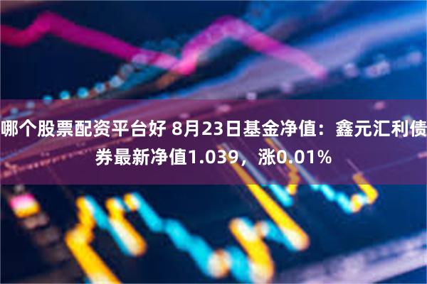 哪个股票配资平台好 8月23日基金净值：鑫元汇利债券最新净值1.039，涨0.01%