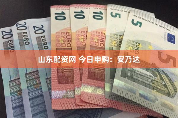 山东配资网 今日申购：安乃达