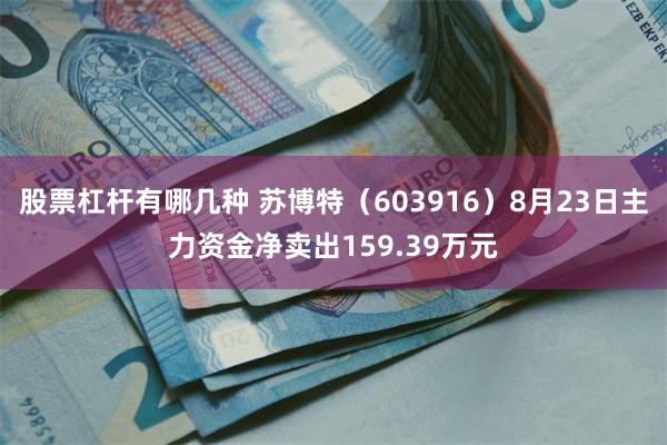 股票杠杆有哪几种 苏博特（603916）8月23日主力资金净卖出159.39万元