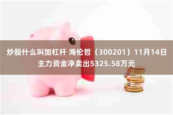 炒股什么叫加杠杆 海伦哲（300201）11月14日主力资金净卖出5325.58万元