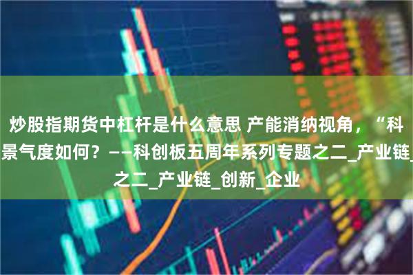 炒股指期货中杠杆是什么意思 产能消纳视角，“科特估”供需景气度如何？——科创板五周年系列专题之二_产业链_创新_企业