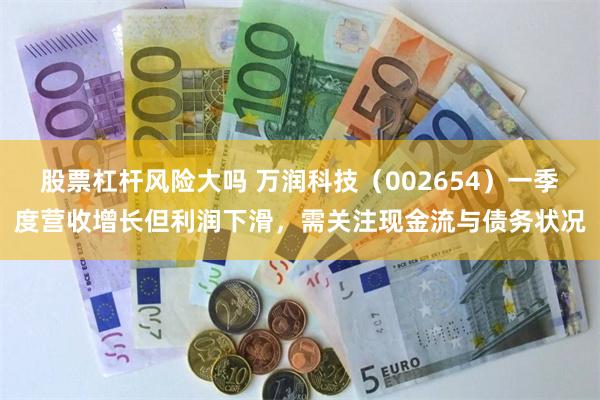 股票杠杆风险大吗 万润科技（002654）一季度营收增长但利润下滑，需关注现金流与债务状况