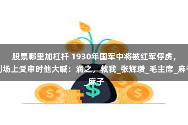 股票哪里加杠杆 1930年国军中将被红军俘虏，刑场上受审时他大喊：润之，救我_张辉瓒_毛主席_麻子