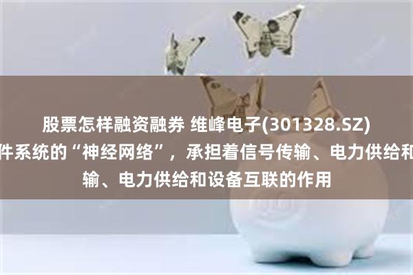 股票怎样融资融券 维峰电子(301328.SZ)：连接器作为硬件系统的“神经网络”，承担着信号传输、电力供给和设备互联的作用