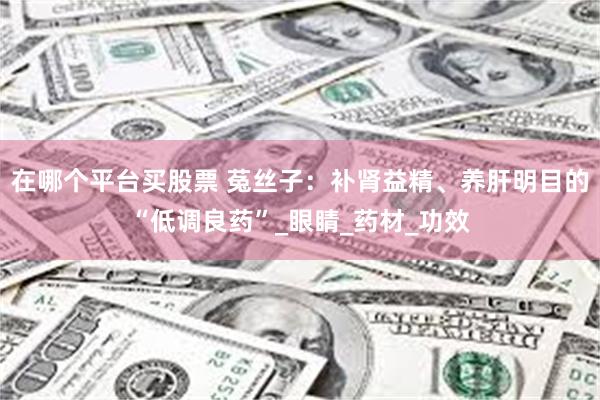 在哪个平台买股票 菟丝子：补肾益精、养肝明目的“低调良药”_眼睛_药材_功效