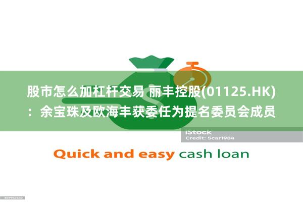 股市怎么加杠杆交易 丽丰控股(01125.HK)：余宝珠及欧海丰获委任为提名委员会成员