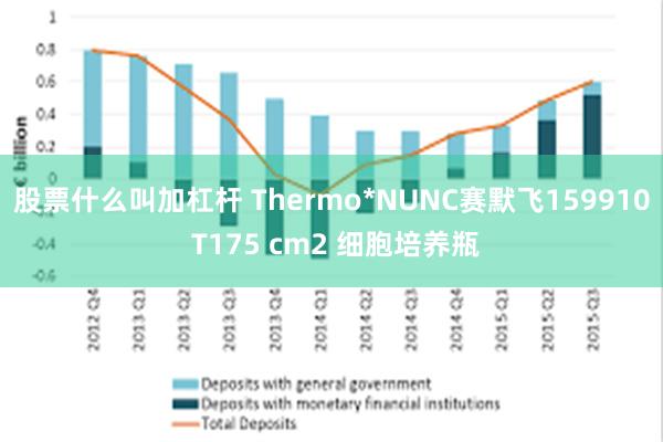 股票什么叫加杠杆 Thermo*NUNC赛默飞159910 T175 cm2 细胞培养瓶