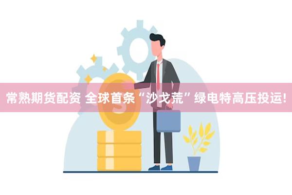 常熟期货配资 全球首条“沙戈荒”绿电特高压投运!